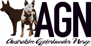AGN_Logo